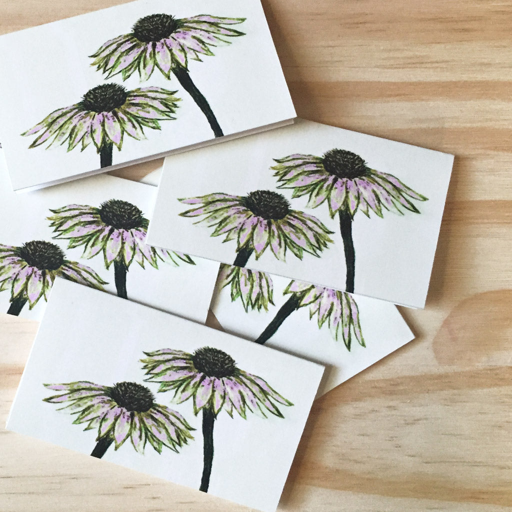 Cone Flowers - Mini Cards - Box Set of 6 - Shelworks Stationery